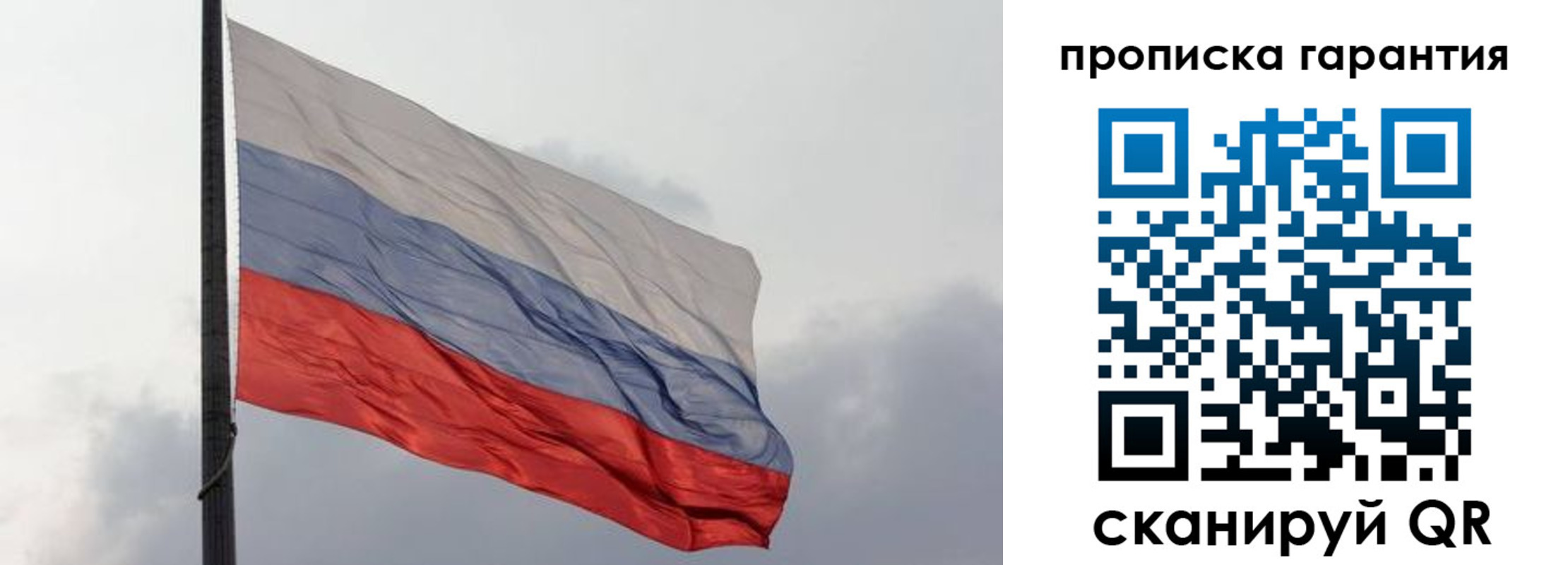 временная регистрация поиск в Мончегорске